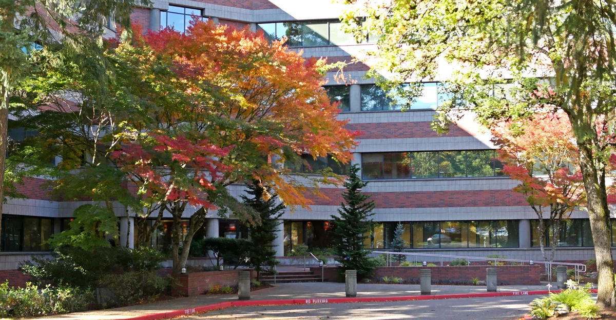 Lotus Dental Wellness