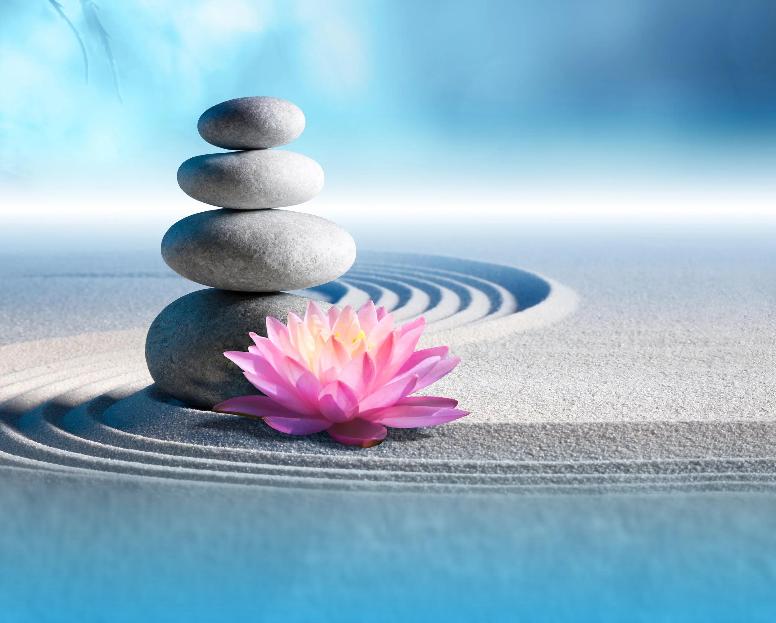 Services — Lotus Dental Wellness