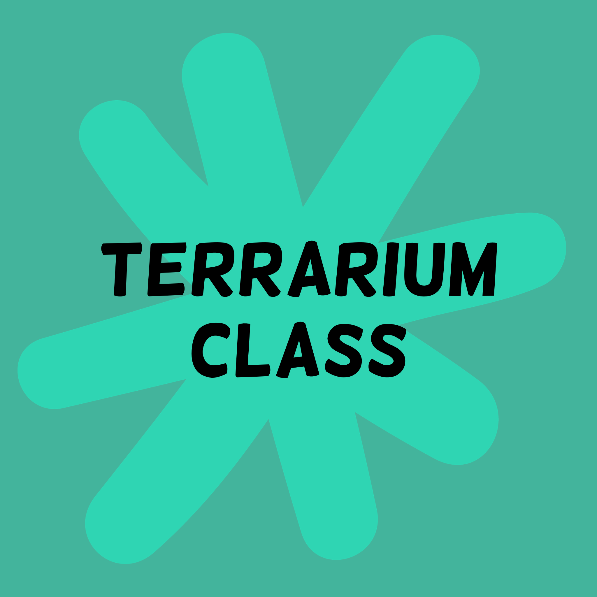 terrarium card.png