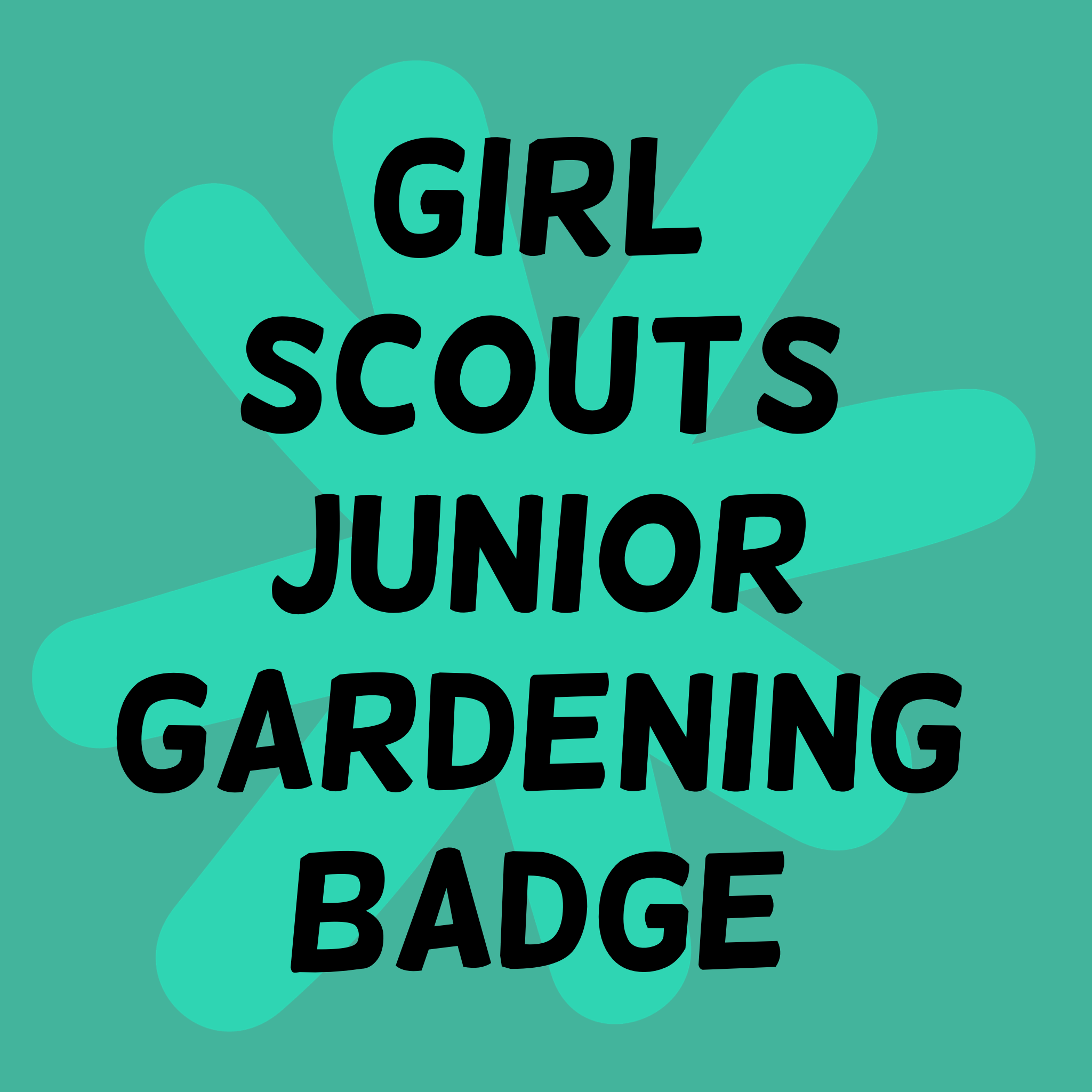 girl scouts badge card.png
