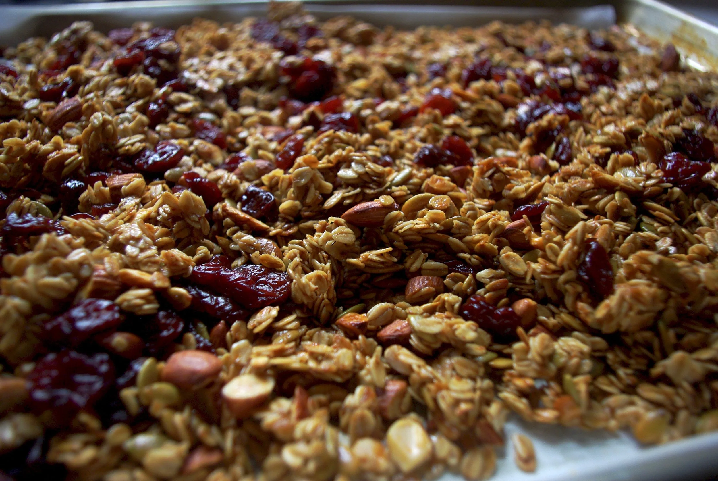 granola upclose 1(USE).jpg