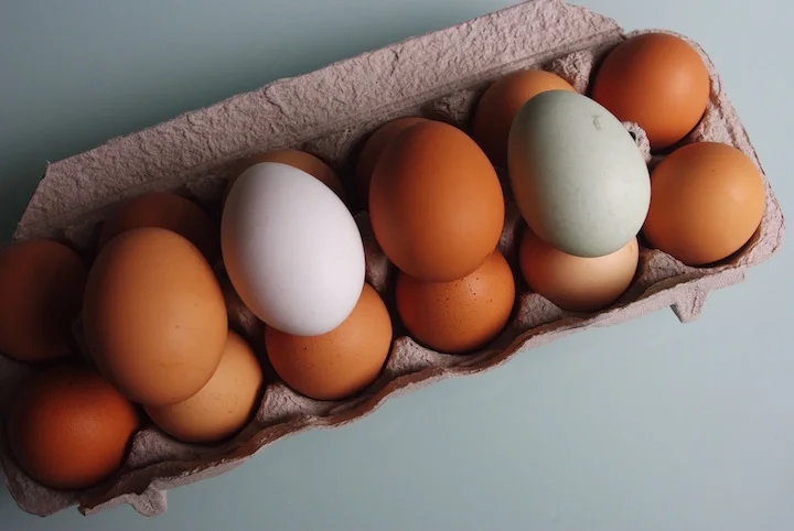 eggs(USE).jpg