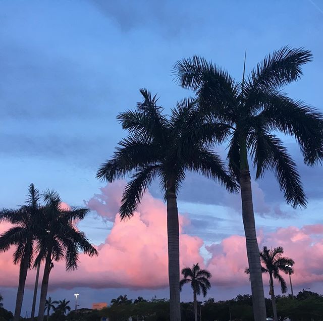 Sometimes beautiful sunsets can be found in a parking lot.