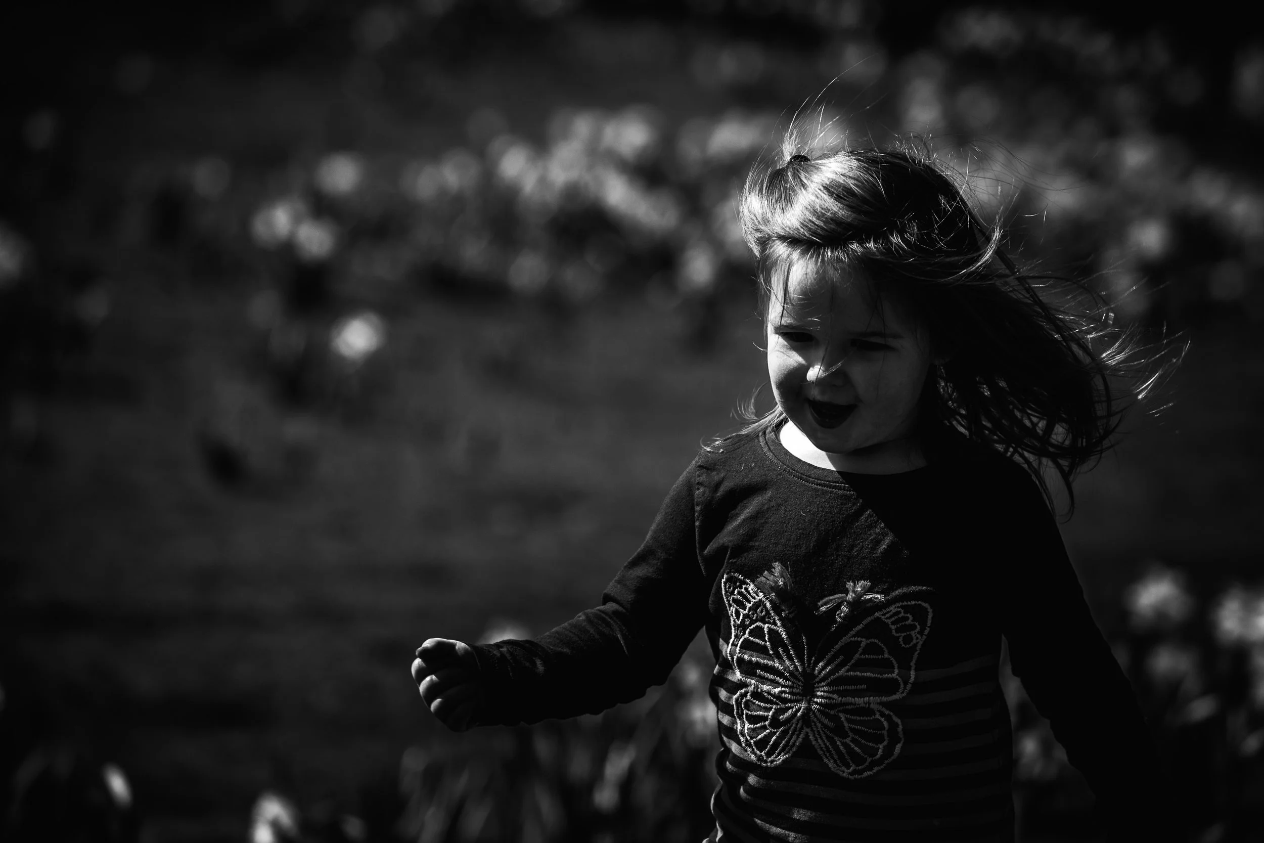 Hazel running carefree through a patch of daffodils in the springtime sunshine.