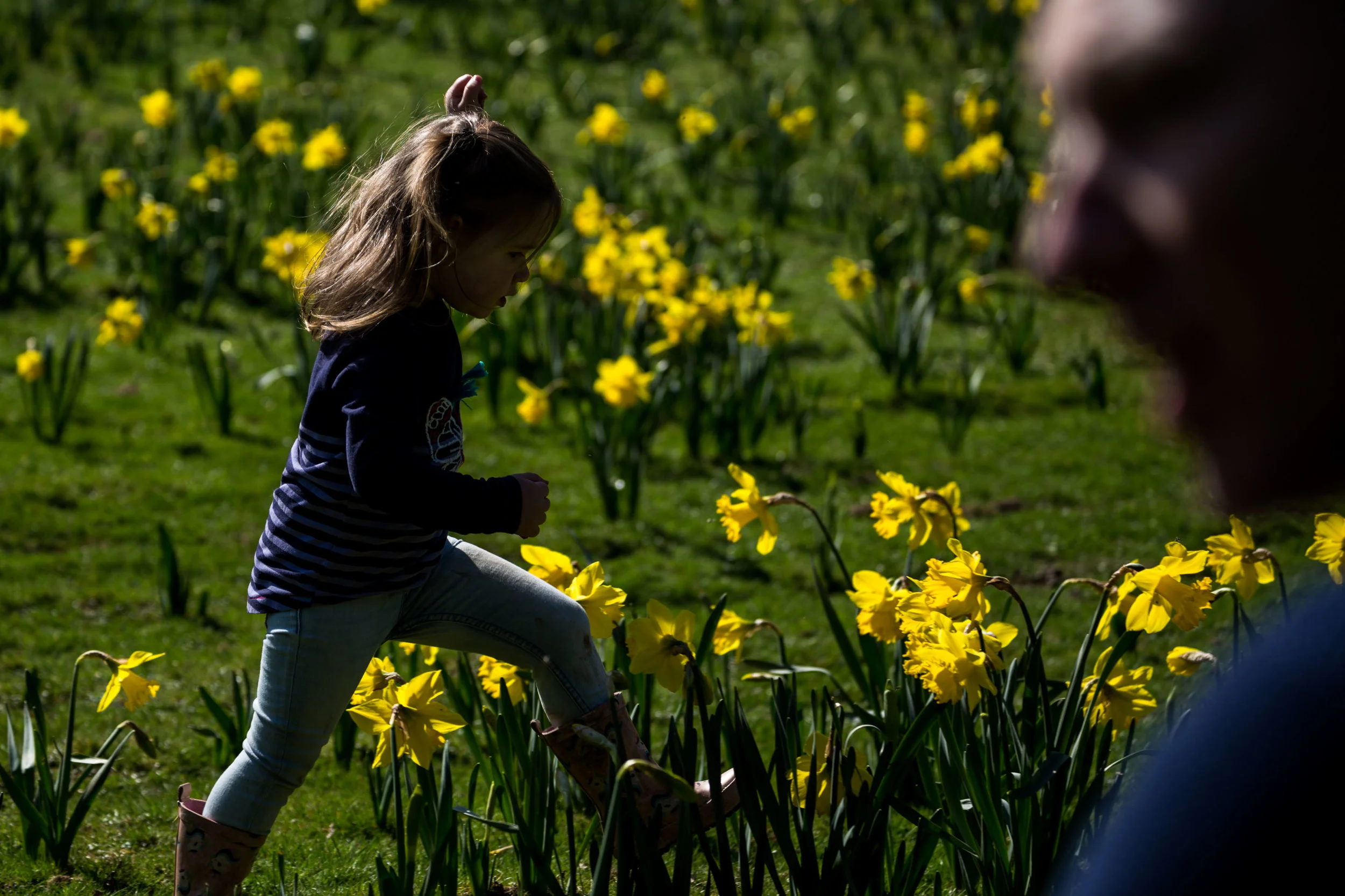 Hazel carefully walking through the daffodil patch and trying not to step on any after lengthy conversations about being gentle with nature and plants.