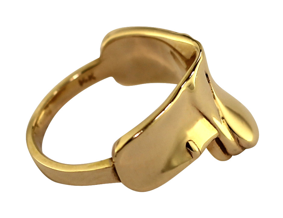 EQR0001 saddle ring with plain seat.jpg