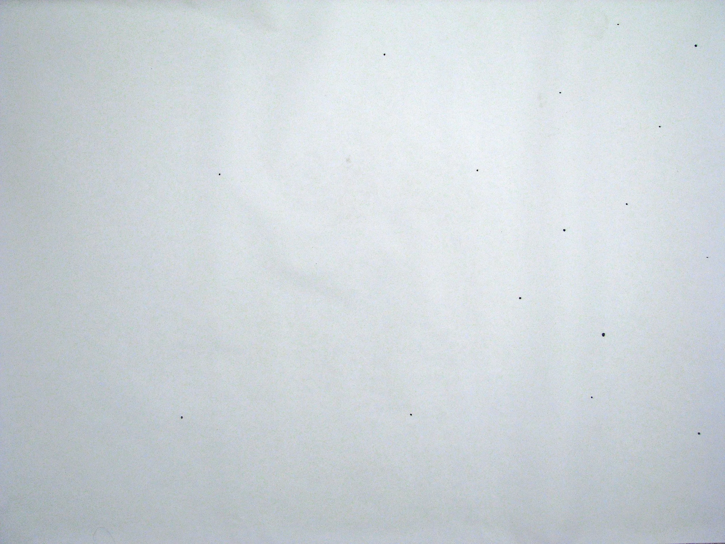  This drawing begins with the paper completely white, after some centimeters, a point appears, then, much more points appear, suddenly those points start to get together and form some kind of particles, those particles get attracted to each other and