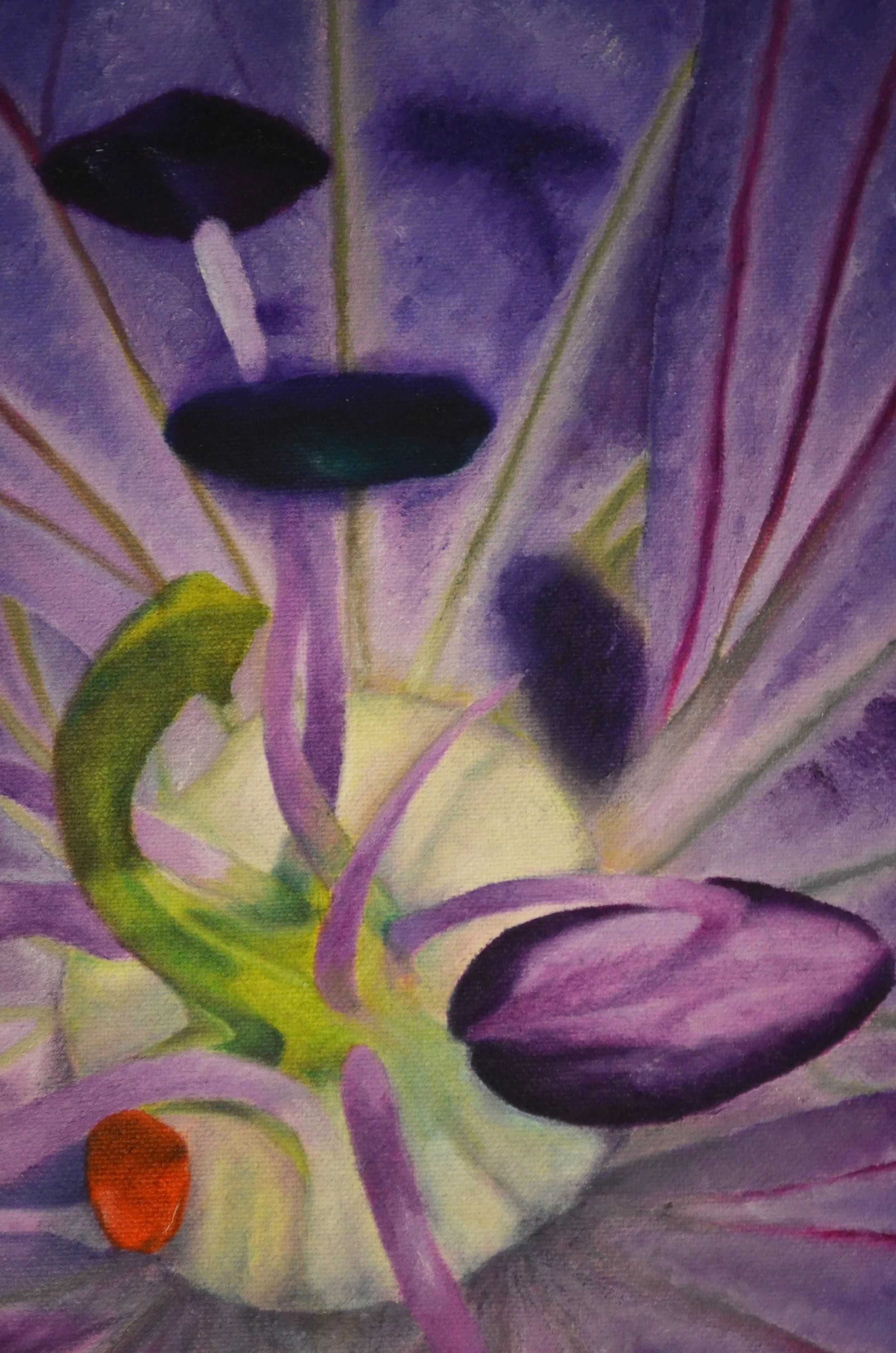  Gracias a Blas Col por éste párrafo que me ha impulsado a afirmar aquello que mi inuación ya sabía:   “La redondez de la Rosa no procura una armonía de belleza, sólo obedece el sentido en que gira la Galaxia. Ocurre sin embargo, que la galaxia se gu