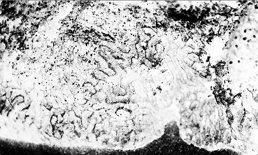 It was a way to take form or to understand the constant fluctuation of the infinity; I wanted to freeze a moment of constant change, to materialize movement because it was changing the shape of something else, and to think about the millions of hour