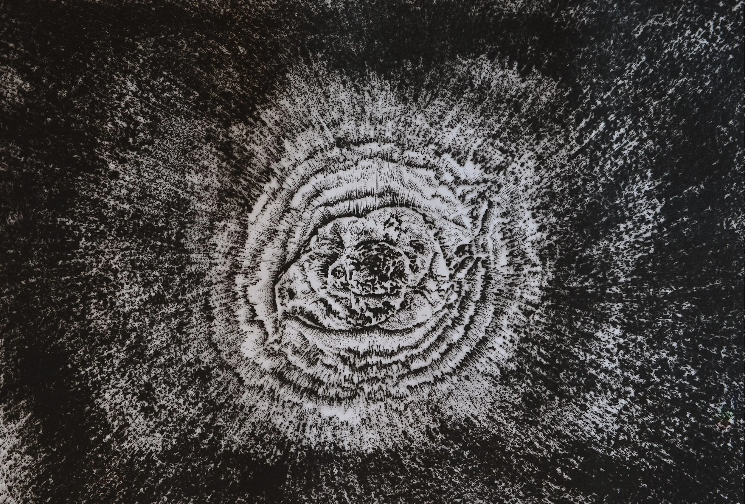 Nebulosa del Ojo de Gato como Flor · Grabado en punta seca · Carolina Villegas Martínez