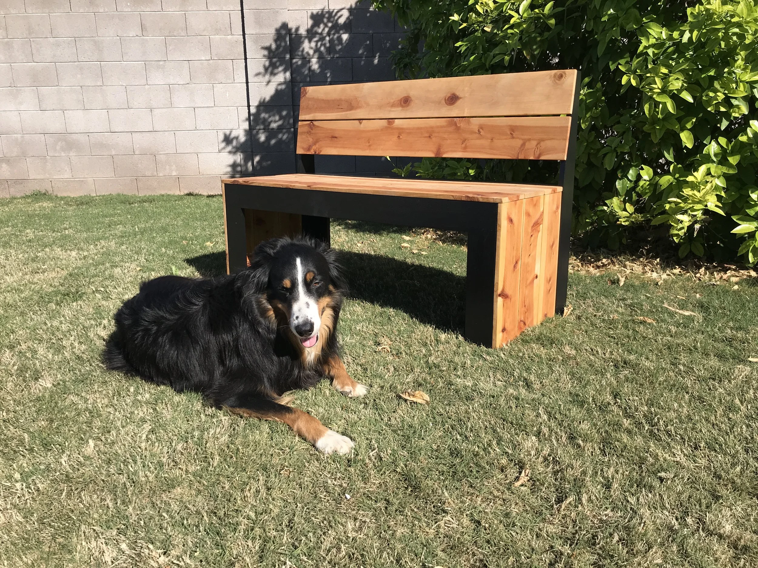 DIY Bench with Back_9773.JPG