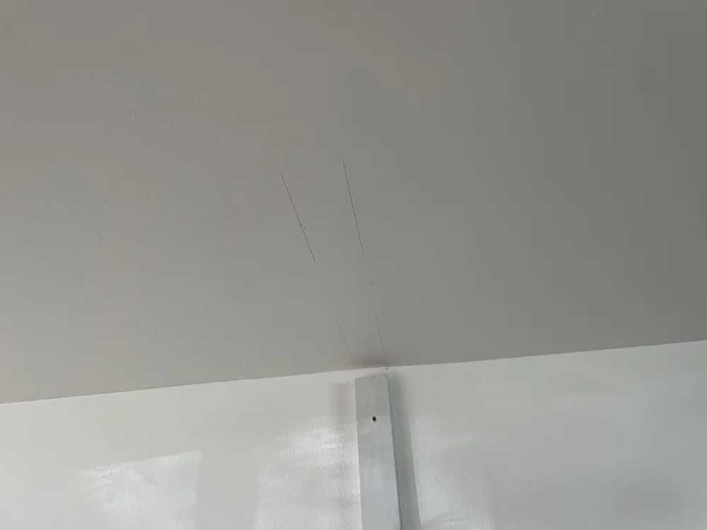 DIY Modern Room Divider — the Awesome Orange