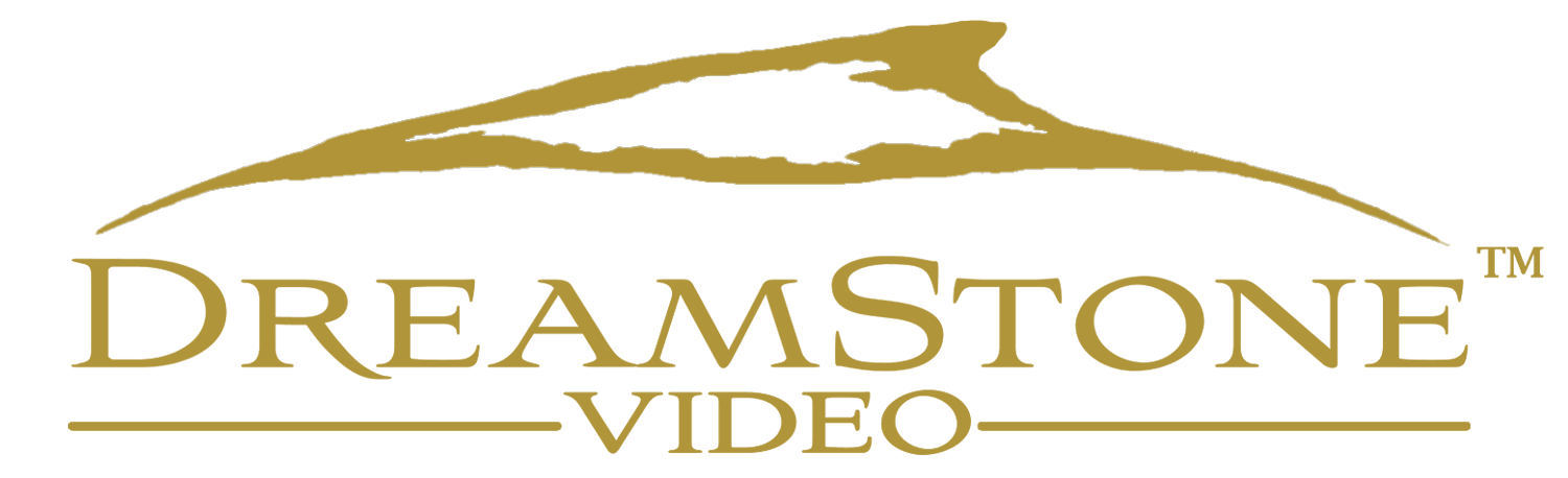 DSV-Logo-transparent-1.png
