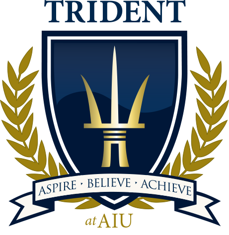 T-AIU_Emblem -NAVY-Asset 9.png