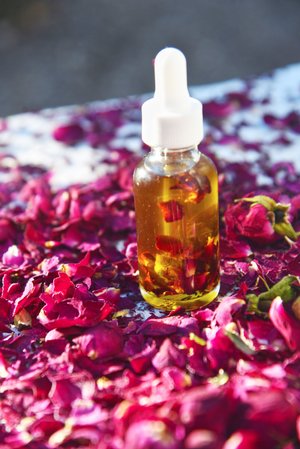 Hemp Rose Infused Face Oil Carpenter Botanicals