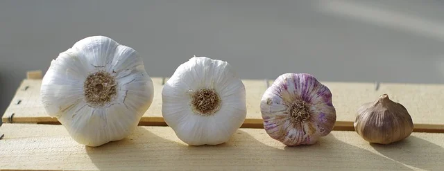 garlic-3211724_640.jpg