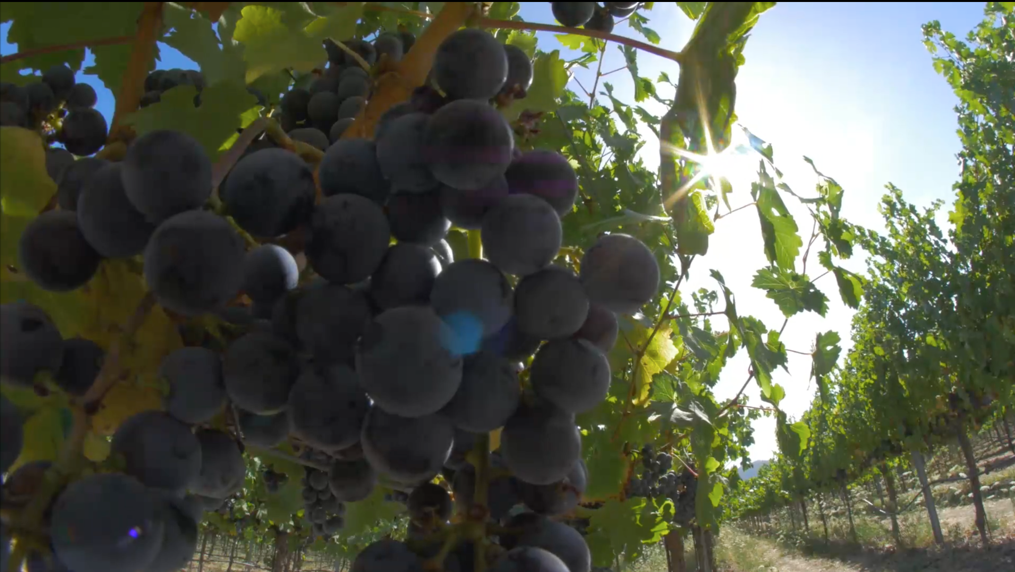 Screen Shot 2017-09-26 at 9.41.17 PM.png