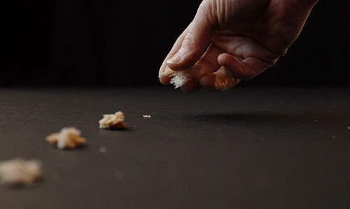 breadcrumbs-navigation.jpg