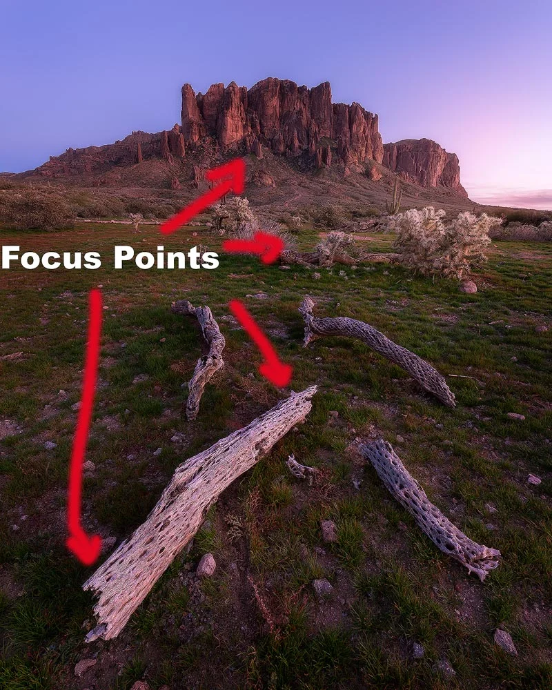 Focus Stack Supers IG copy.jpg