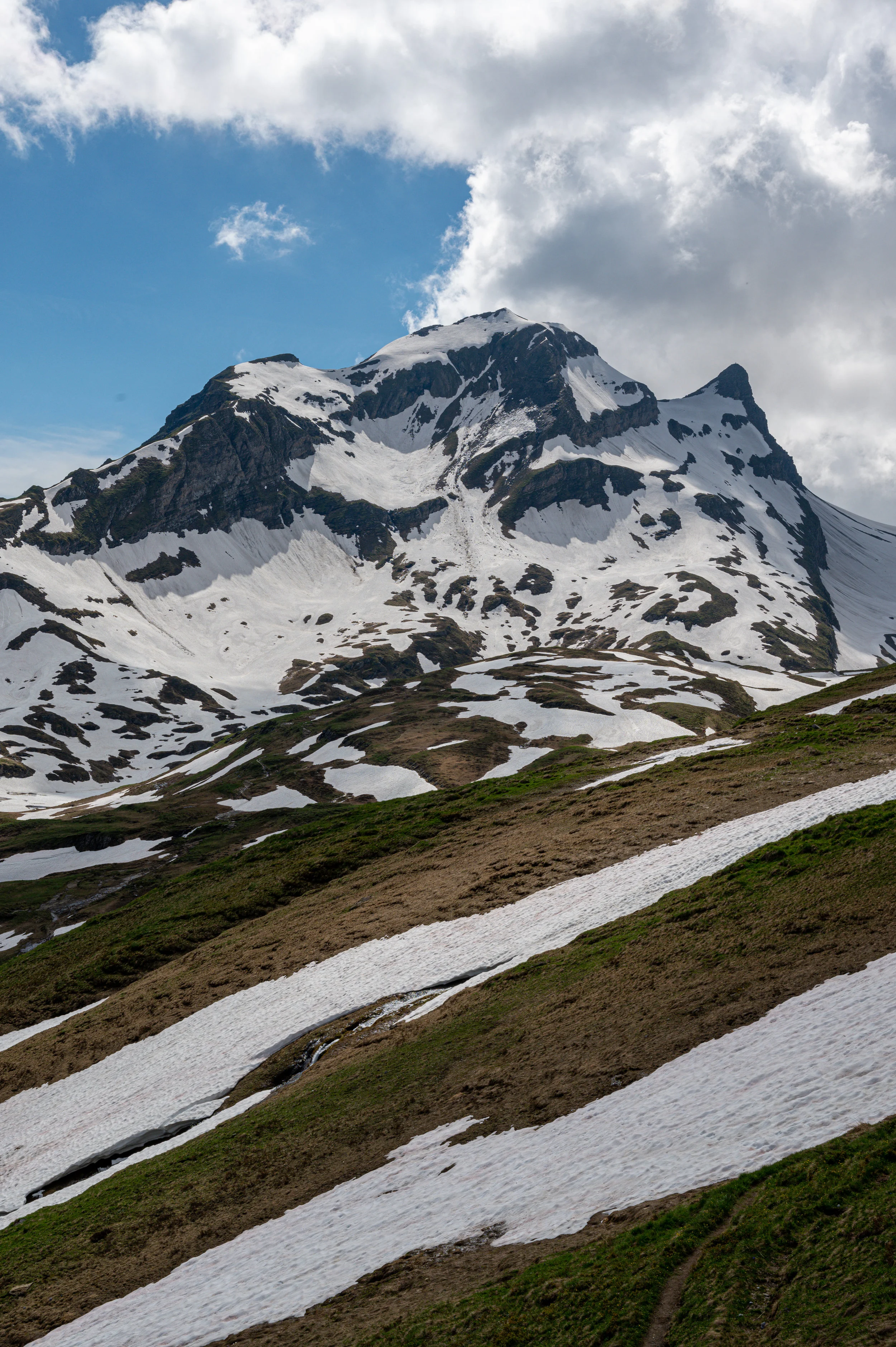 _DSC4976.jpg
