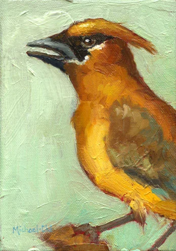 Golden Chatter 5" X 7" $295
