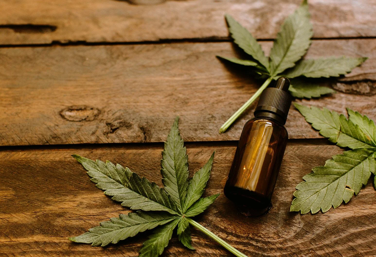 Should You Try CBD Oil?