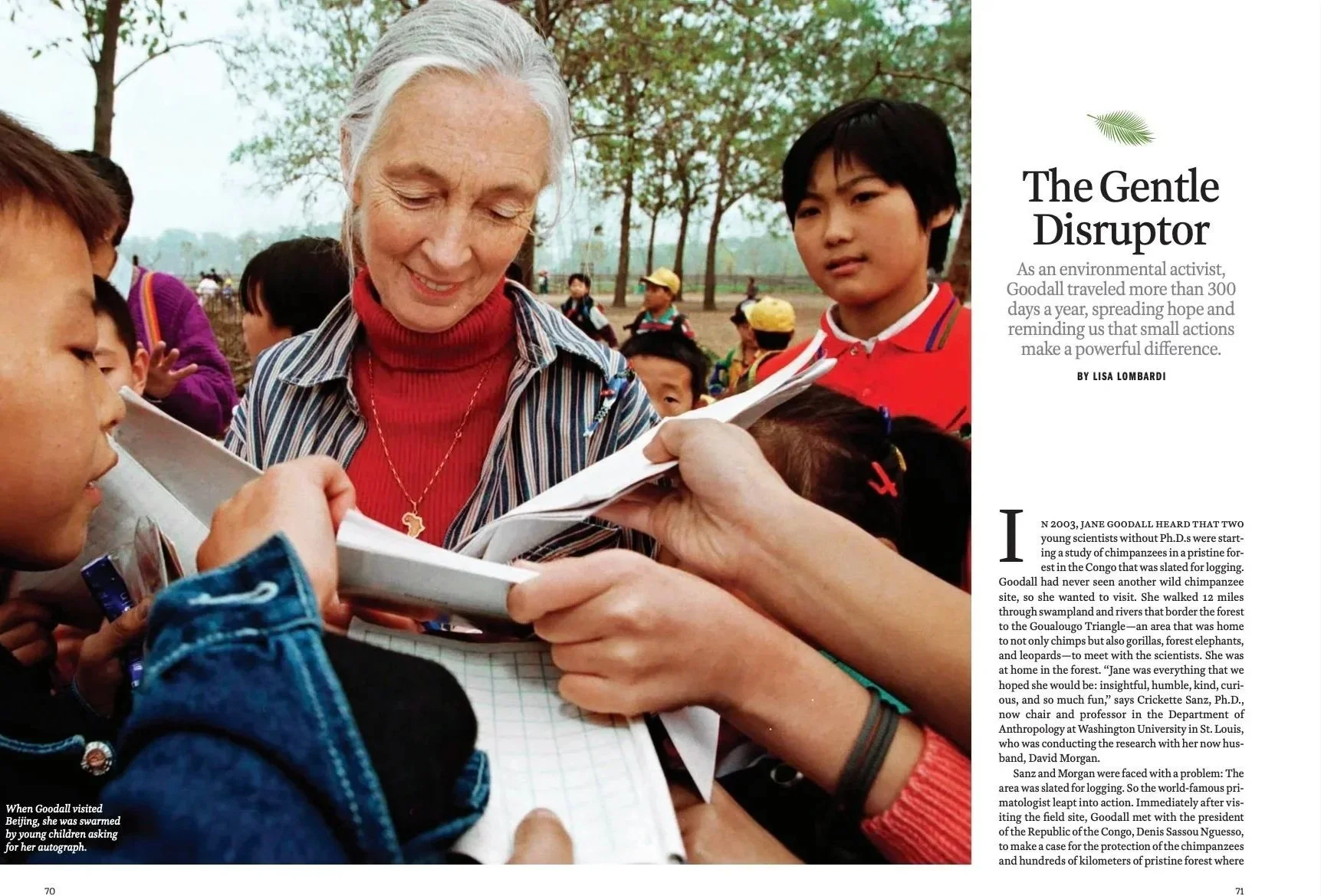 Goodall opener jpg at 11.28.03 AM.jpg