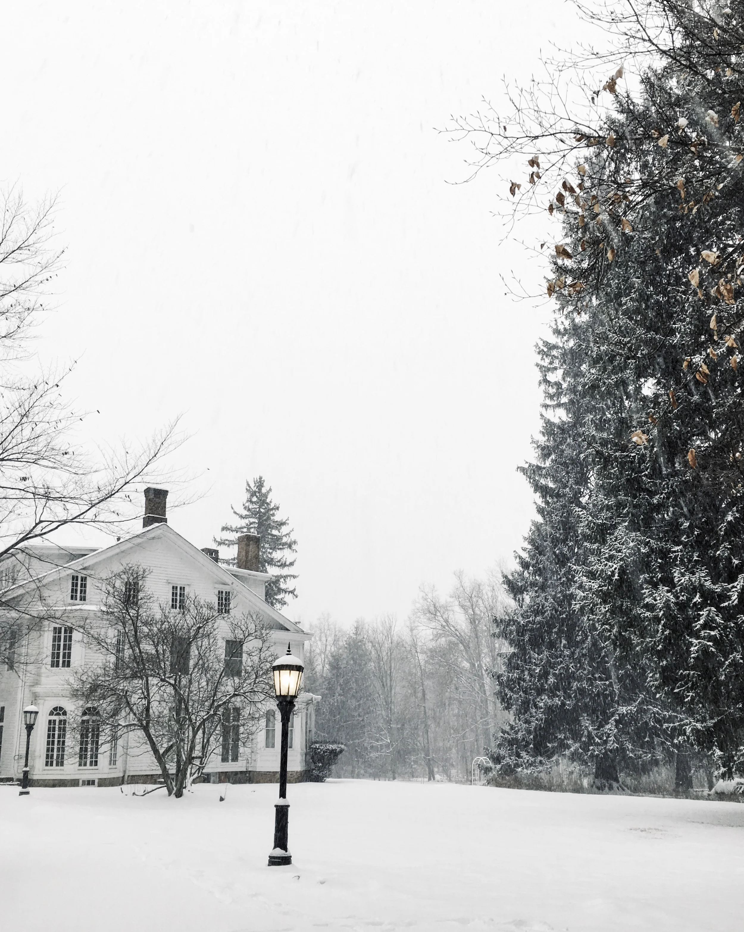 vsco-photo-1 2.jpg