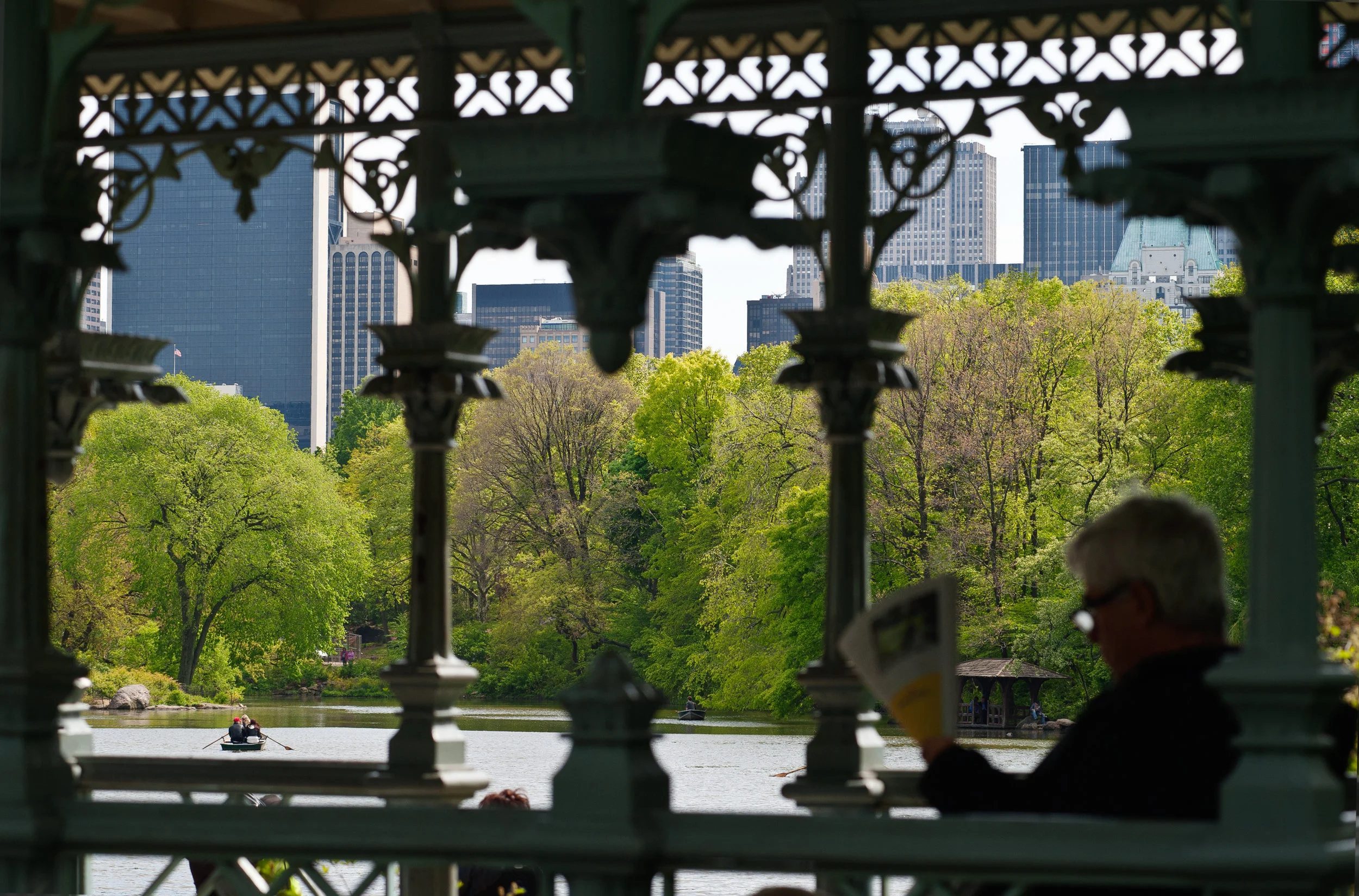 _DSC1606 as Smart Object-1.jpg