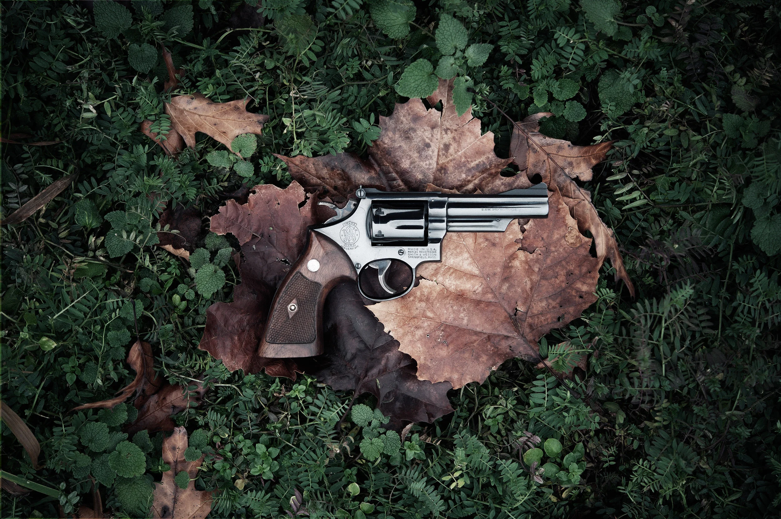 _DSC8211 as Smart Object-1.jpg