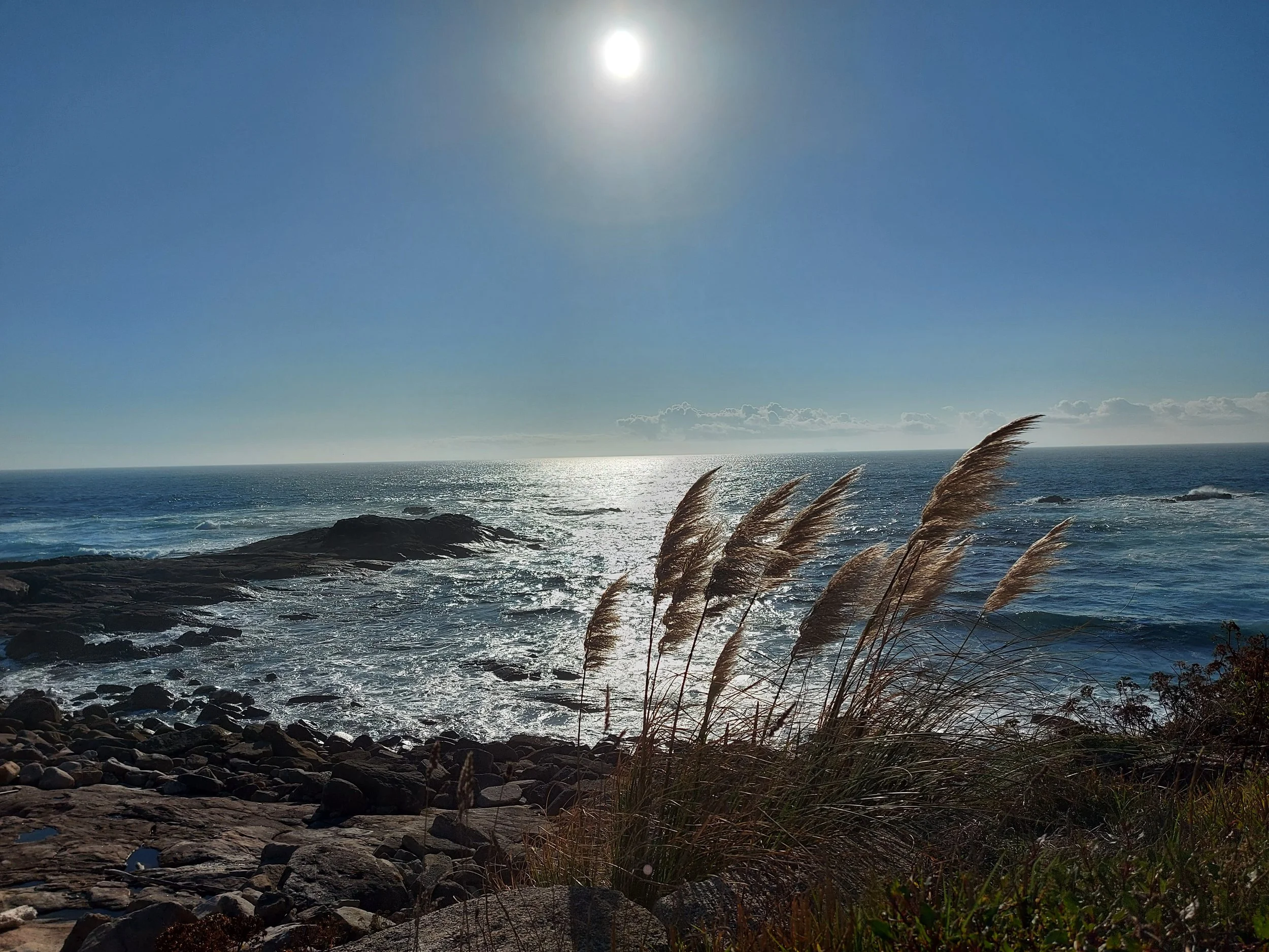 2021-09-25 18.15.55.jpg