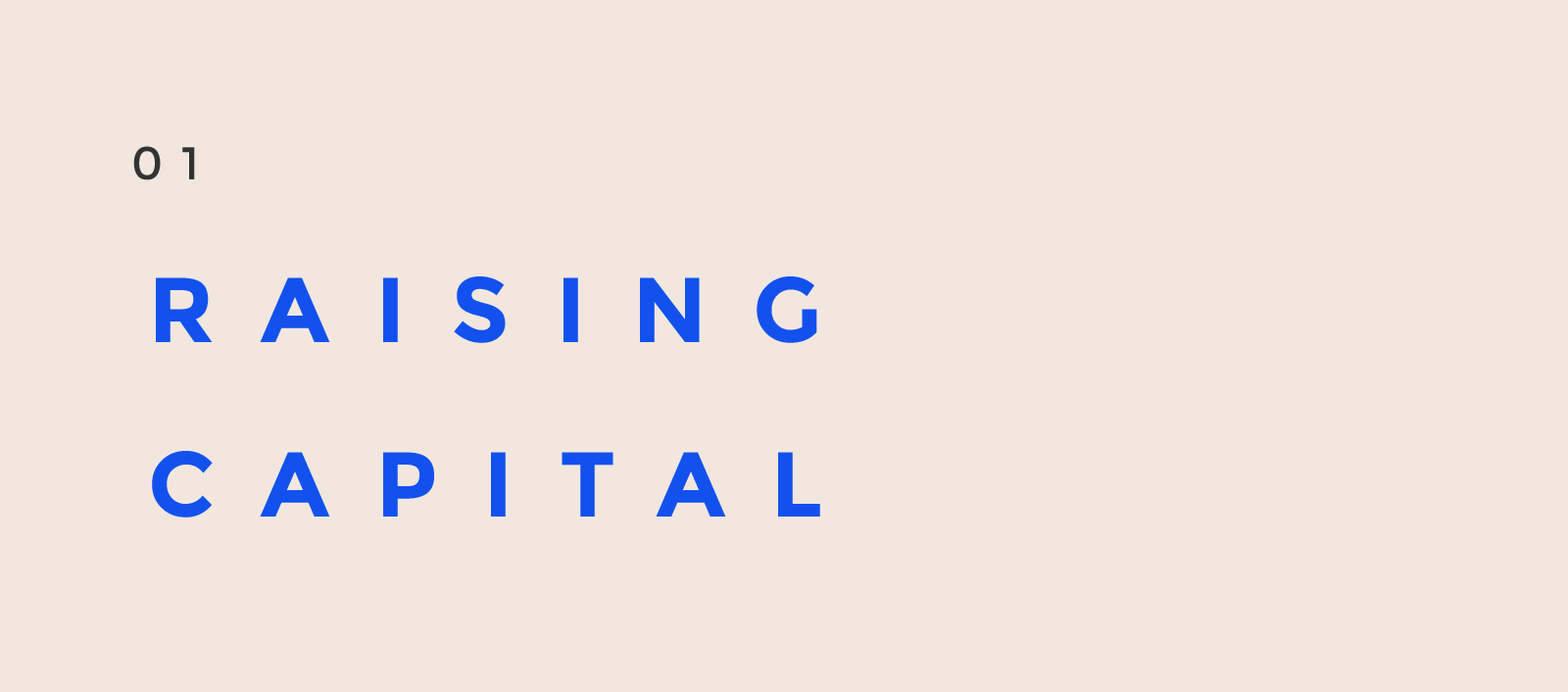 Raising Capital.png