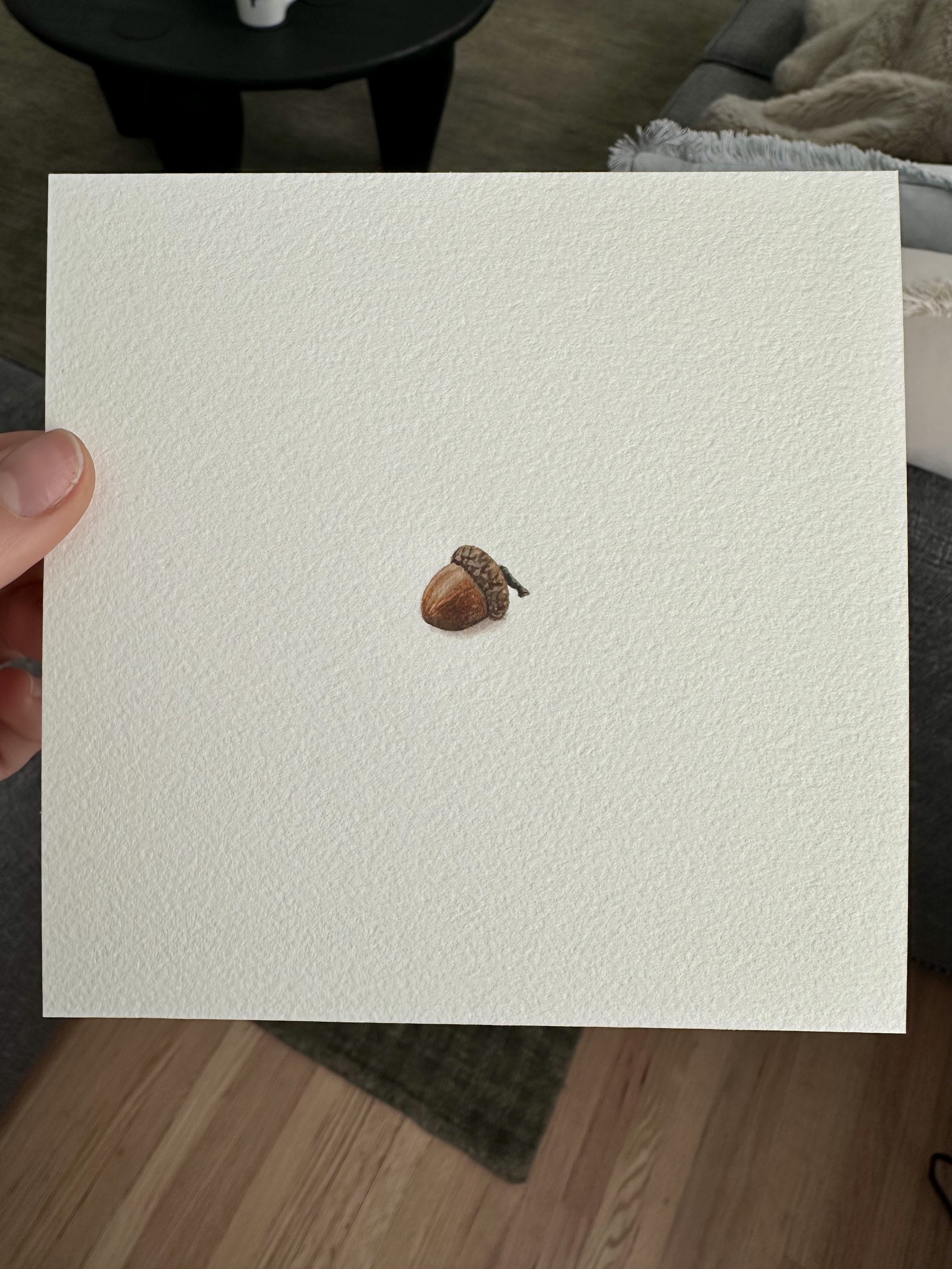 acorn mini lex hade.jpg