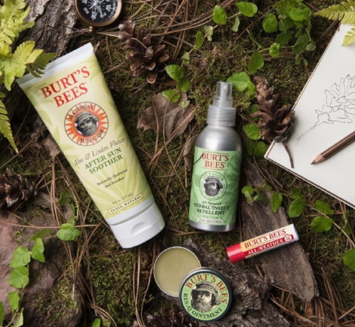 Go Green With Your Beauty Routine - OPENLETR 2.png