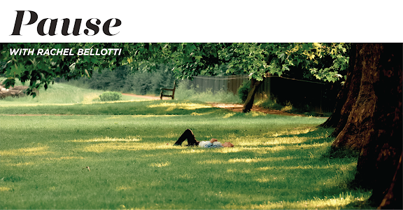 AMOC Pause Event Header.png