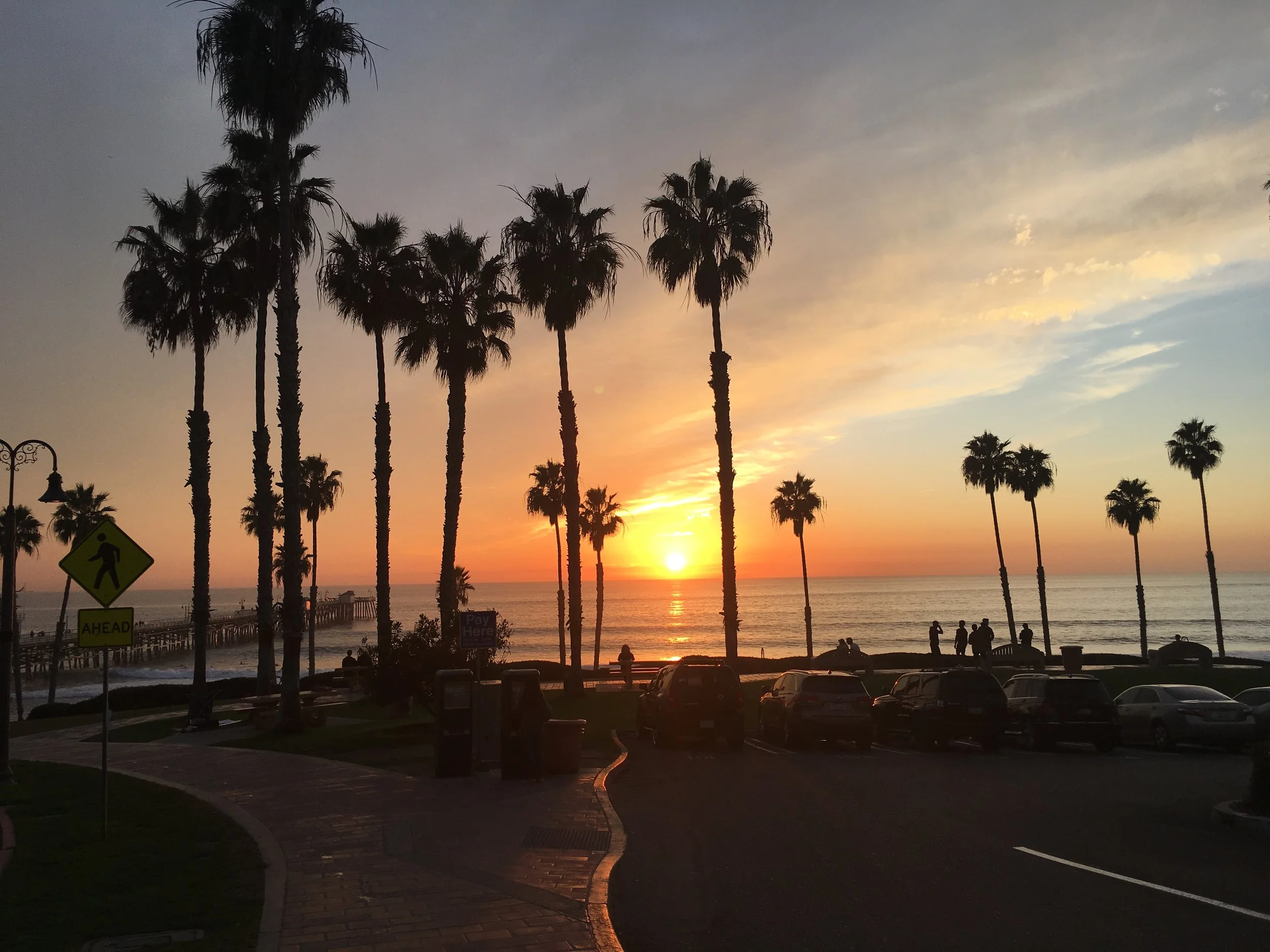 Our Story — Swell Taco