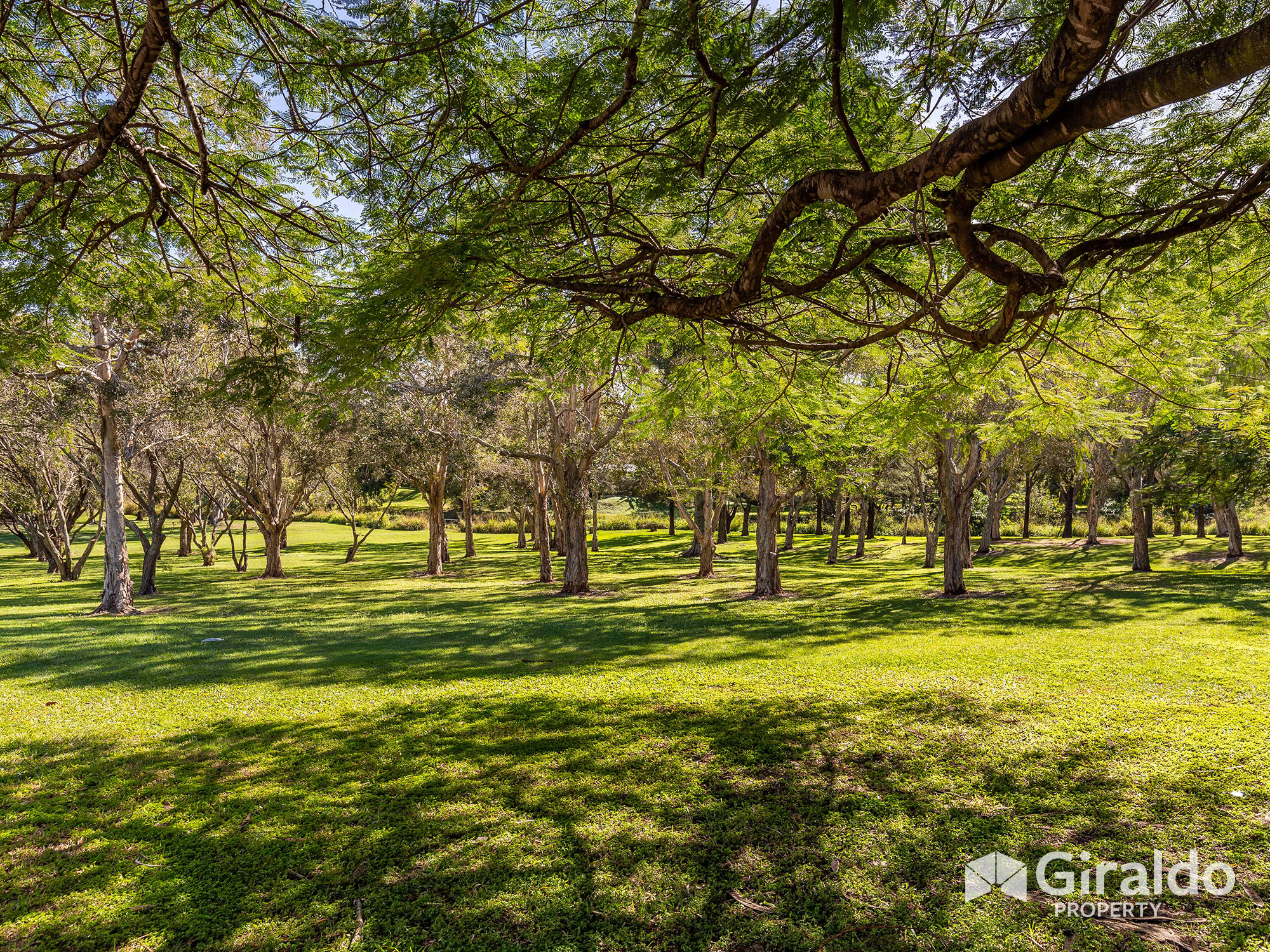 2-8_curwen_tce rear parklands.jpg