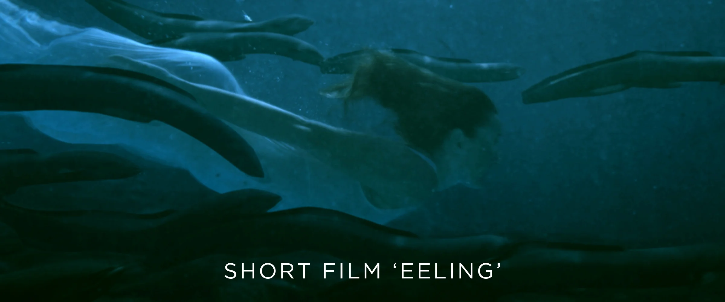 EELING_TH_.jpeg