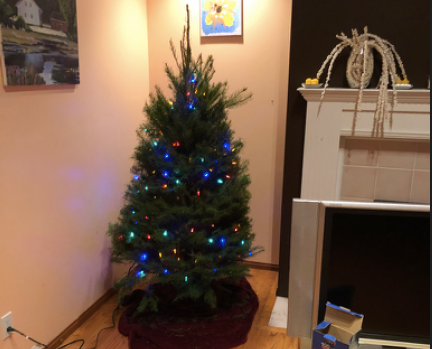 Christmas tree picked and delivered by Kyla Matias and Nick Barreau. Christmas lights on! Ornaments will be hand-made by the Foster Family