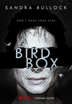 bird_box__2018____poster_by_netoribeiro89-dbr44bz.jpg