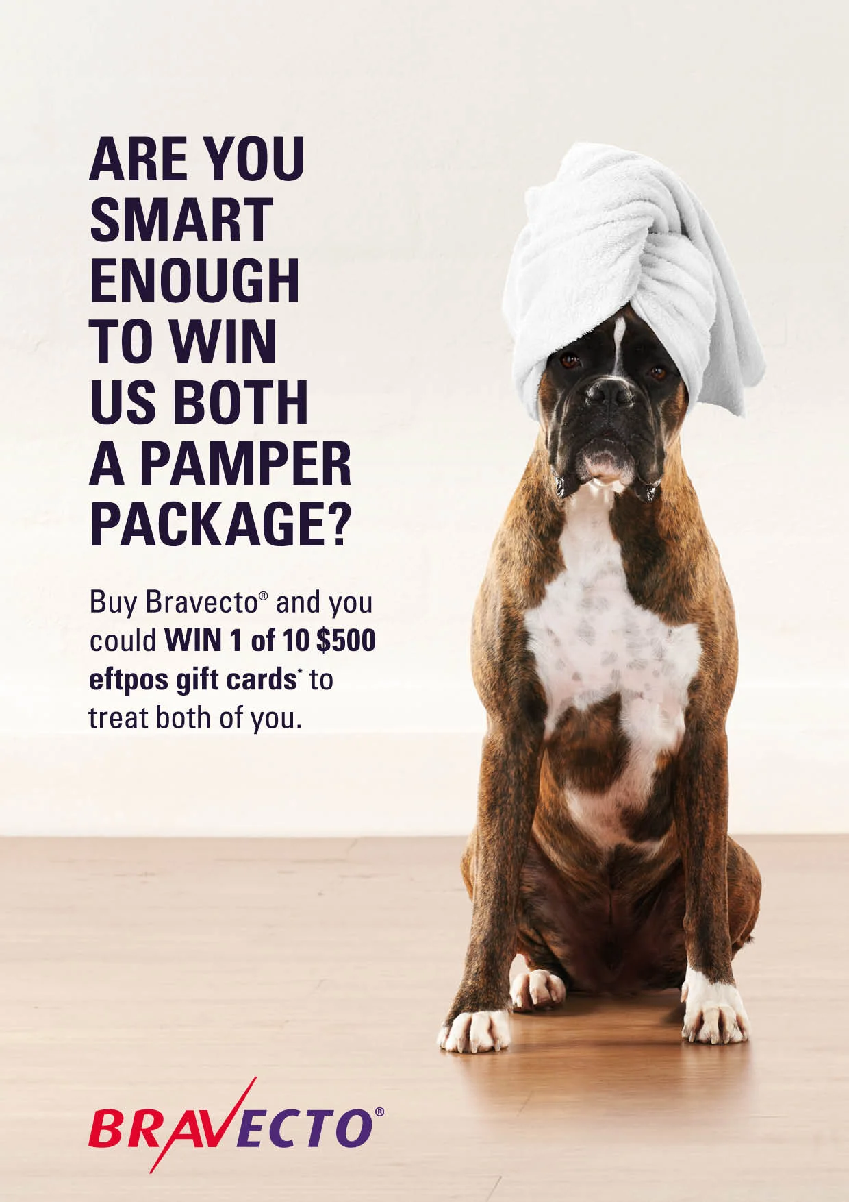 MSD012 Smart dog A4 Poster_F-O.jpg