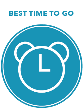 Late Mar-Apr & Sep-Oct