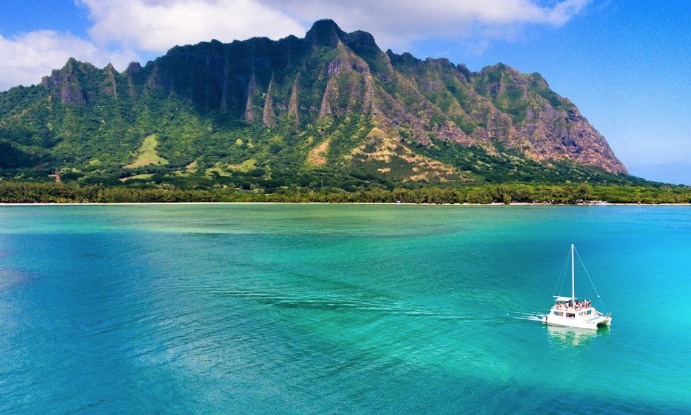 Screen Shot 2017-12-15 at 10.34.36 am.png