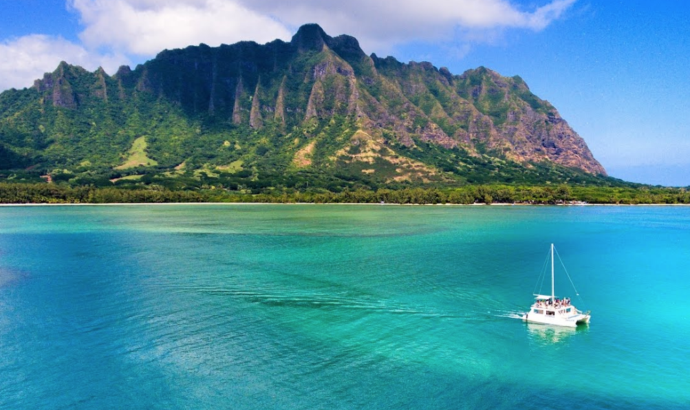 Screen Shot 2017-12-15 at 10.54.24 am.png