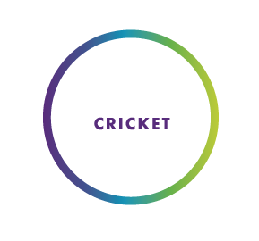 CRICKET .png