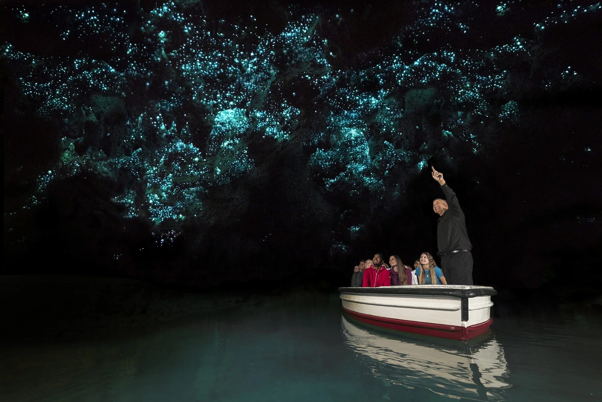 GLOW WORMS, WAITOMO CAVES, NORTH ISLAND