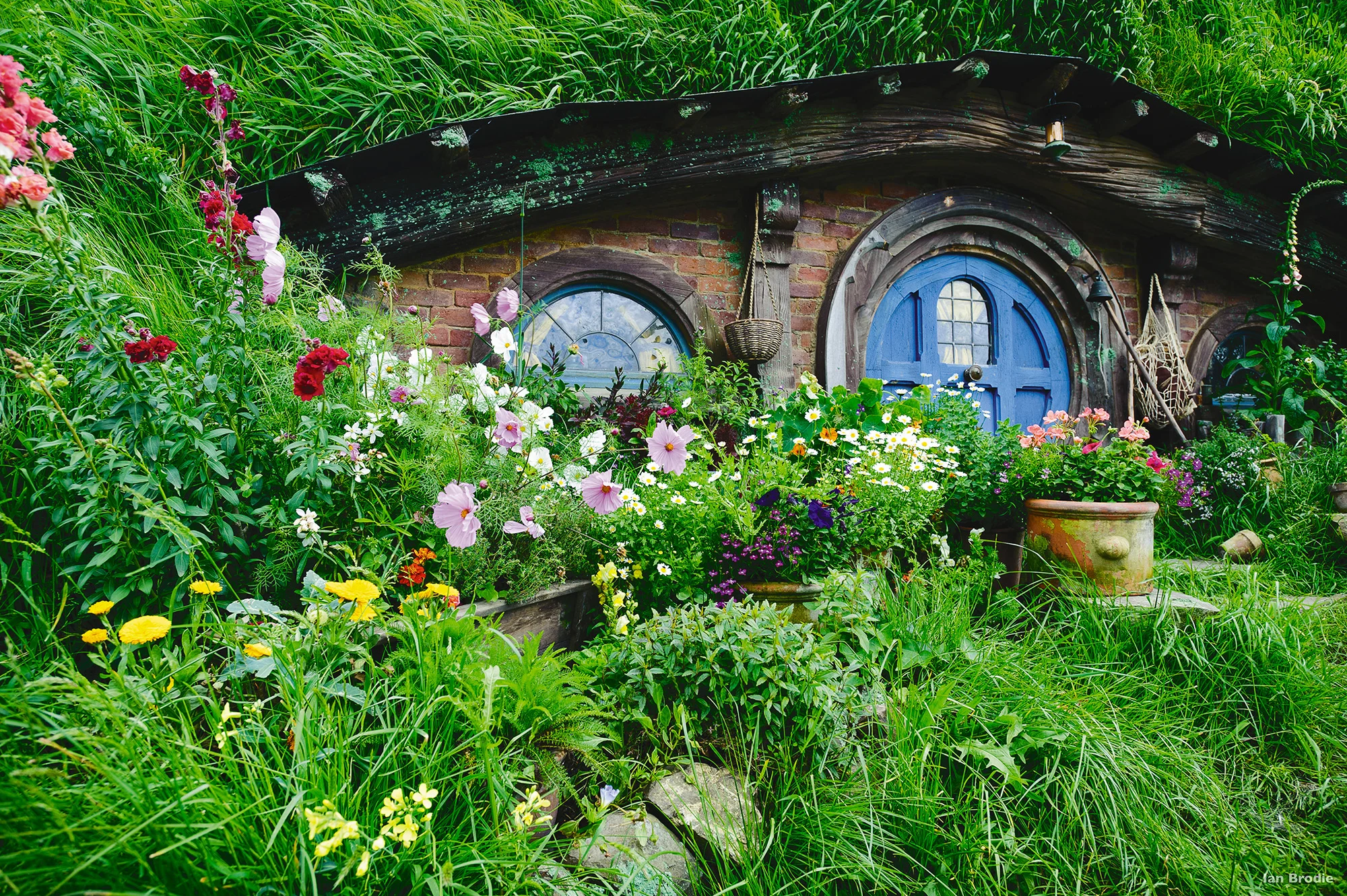 HOBBITON, MATAMATA, NORTH ISLAND