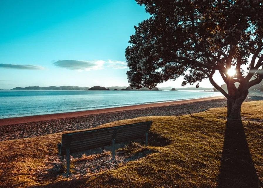 paihia.jpg