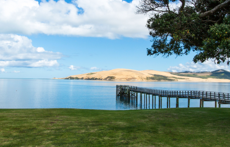 hokianga.png