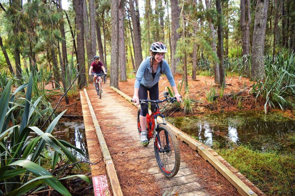 Waitangi-Mountain-Bike-Park-Bay-of-Islands_optimized.jpg